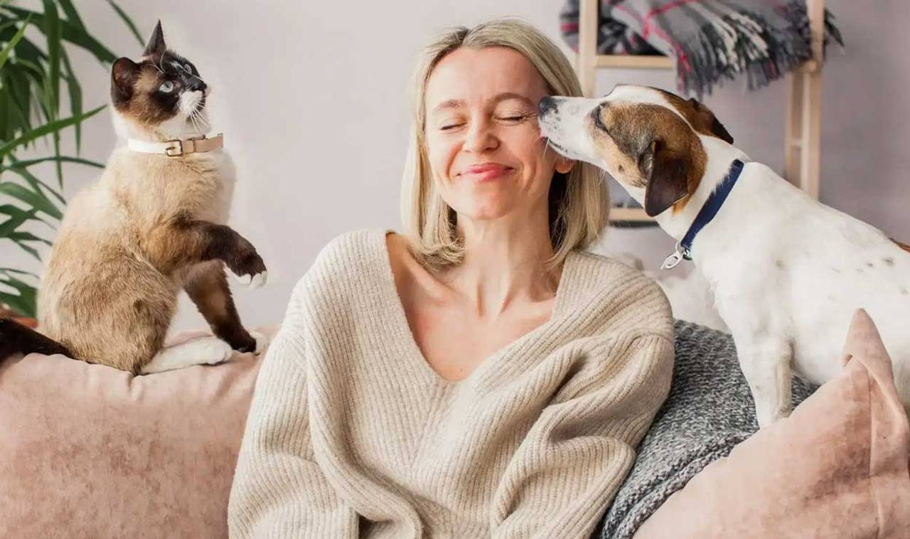 Spot Pet Insurance